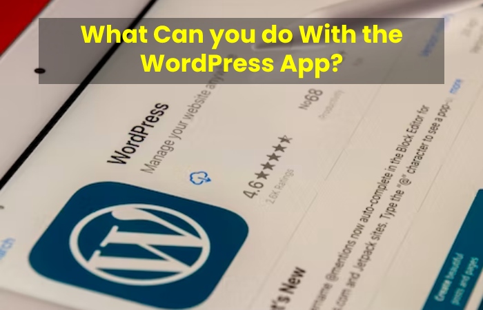 What Can you do With the WordPress App?