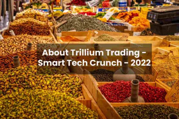 About Trillium Trading - Smart Tech Crunch - 2022