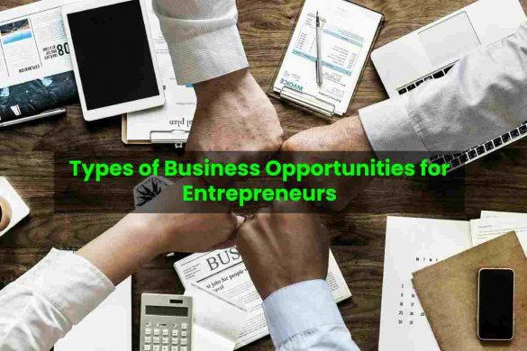Types of Business Opportunities for Entrepreneurs