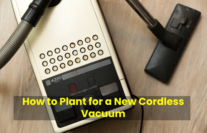 How to Plant for a New Cordless Vacuum