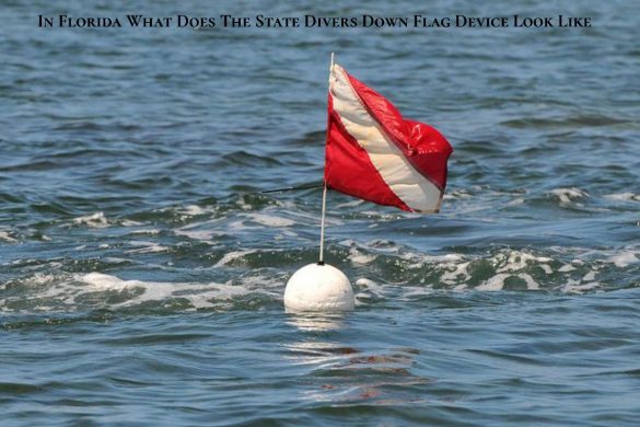 In Florida What Does The State Divers Down Flag Device Look Like (1)
