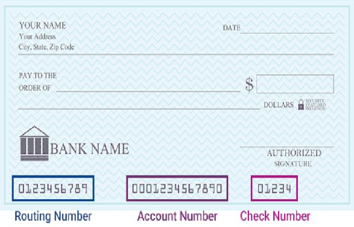 Routing vs. Account Number_ What's the Difference_